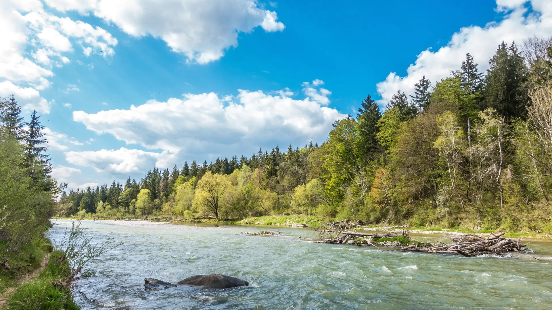 OLJ Geretsried Frühling