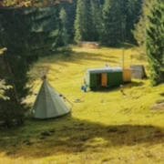 Kathrin Kreiter  picture