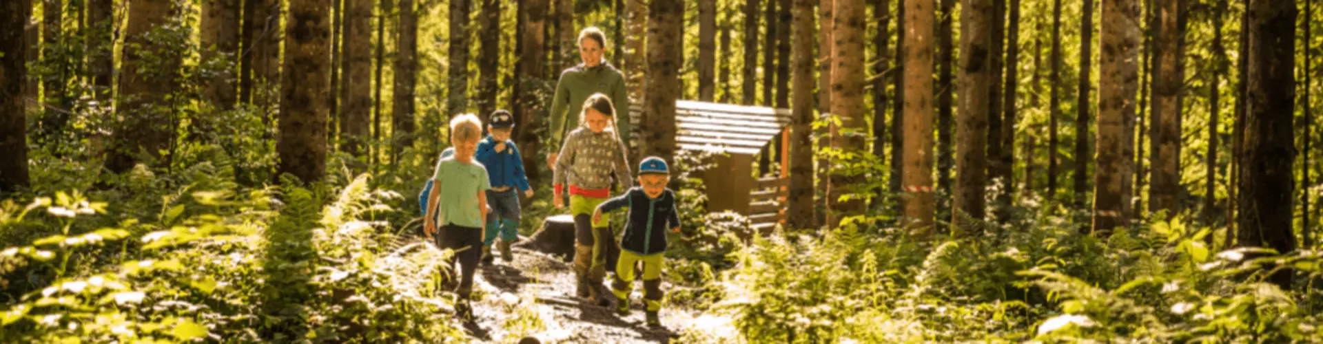 Waldkindergarten Schliersee e.V. cover