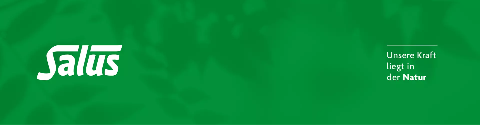 Salus GmbH & Co. KG cover