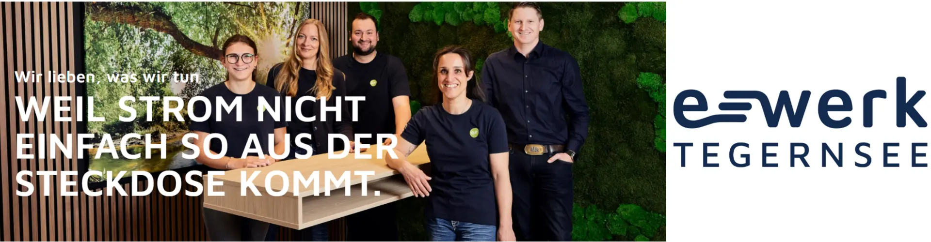 E-Werk Tegernsee Vertriebs- und Service-KG cover