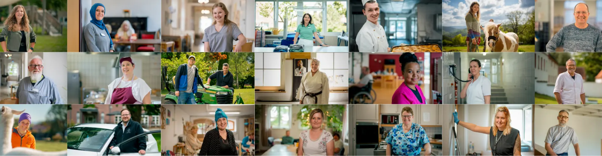 Deutscher Orden Ordenswerke cover