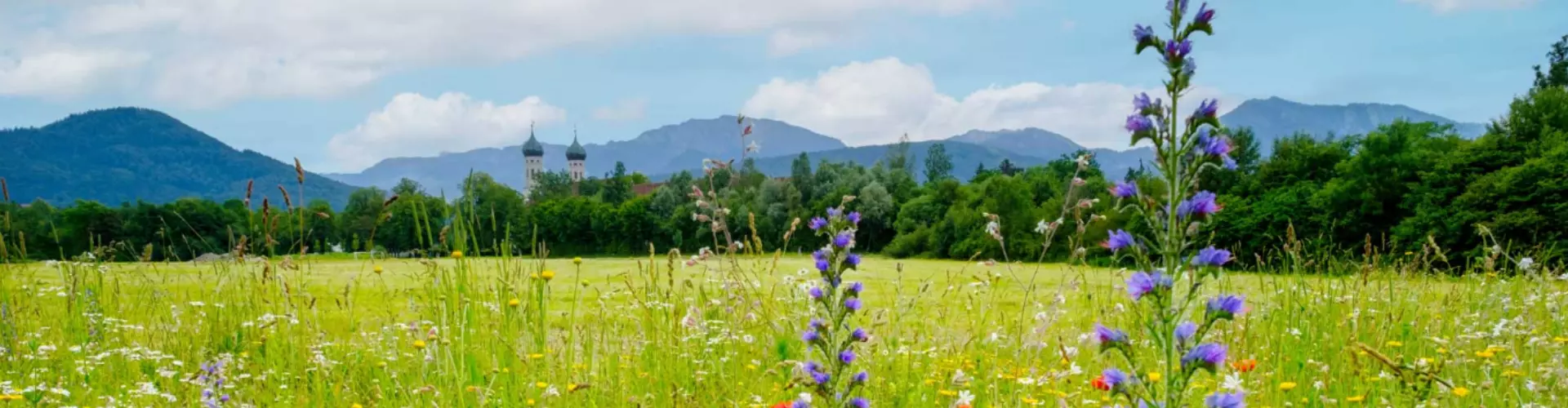 Gehrlicher Pharmazeutische Extrakte GmbH cover