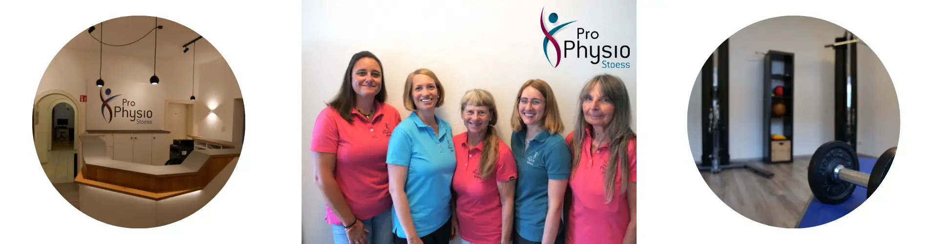 Pro Physio Stoess cover