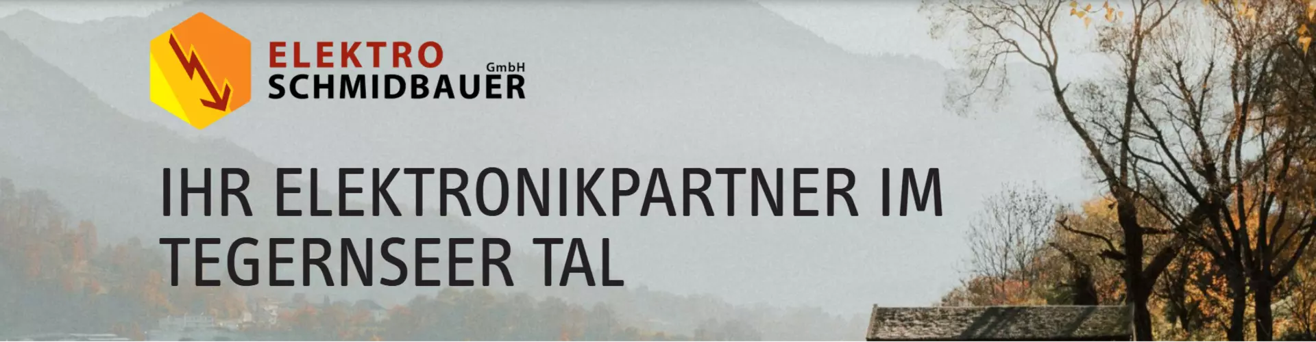 Elektro Schmidbauer GmbH cover